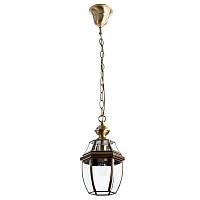 Уличный подвесной светильник Arte Lamp Vitrage A7823SO-1AB