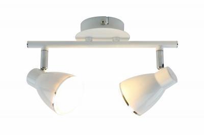 Светильник потолочный Arte Lamp арт. A6008PL-2WH